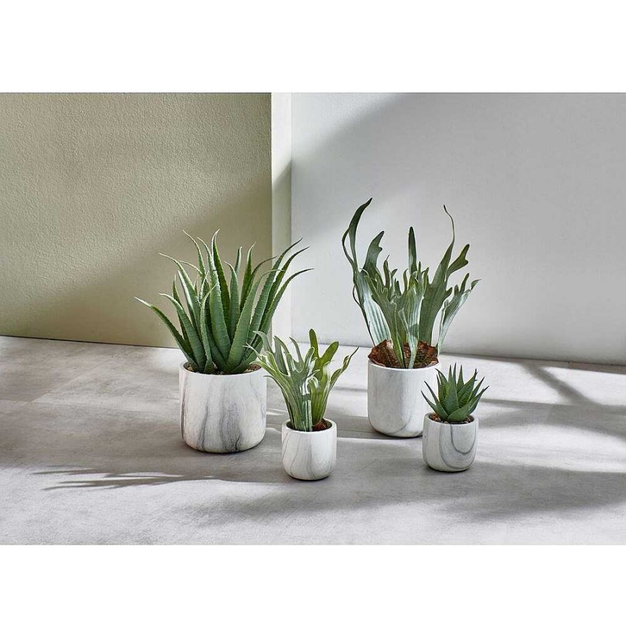 Pomax Marmura - Artificiele Plant - Kunststof / Cement - Dia 8 X H 22 Cm - Groen | Planten