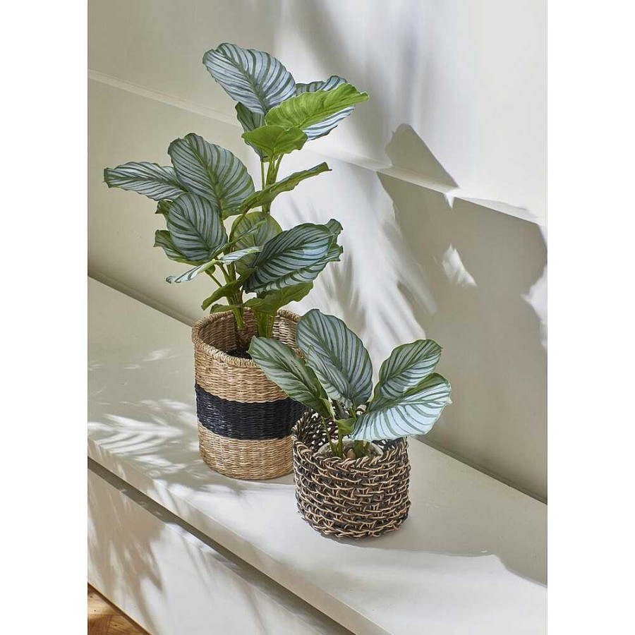 Pomax Jungle Fever - Kunstplant In Pot - Kunststof / Metaal - H 68 Cm - Groen | Planten