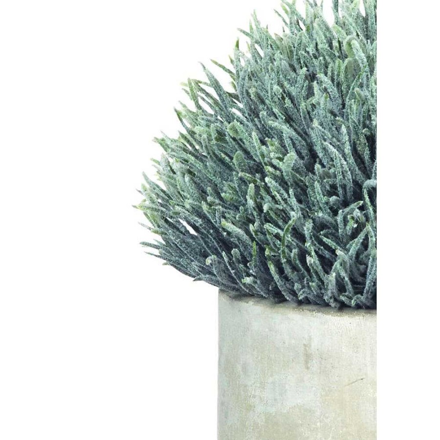 Pomax Concrete Jungle - Artificiele Plant In Pot - Cement / Kunststof - Dia 10 X H 14 Cm | Planten