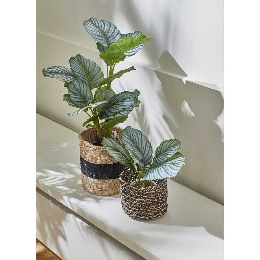 Pomax Marmura - Kunstplant In Pot - Kunststof / Cement - Dia 12 X H 22,5 Cm - Groen | Planten