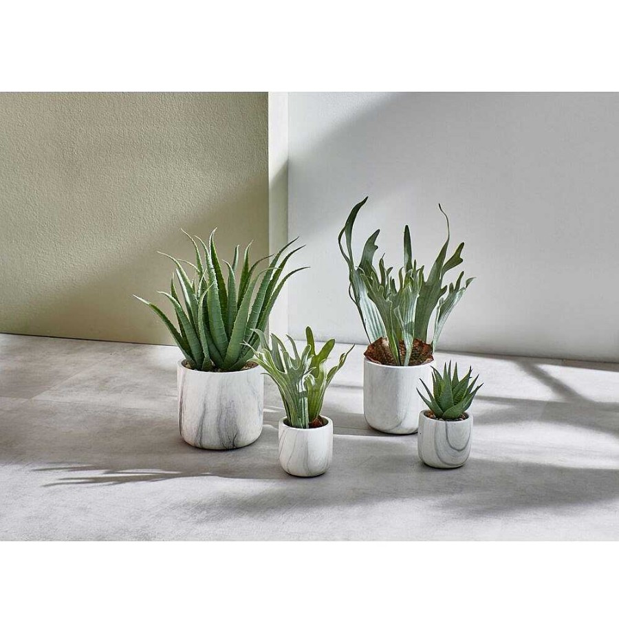 Pomax Marmura - Artificiele Plant - Kunststof / Cement - Dia 12 X H 35 Cm - Groen | Planten