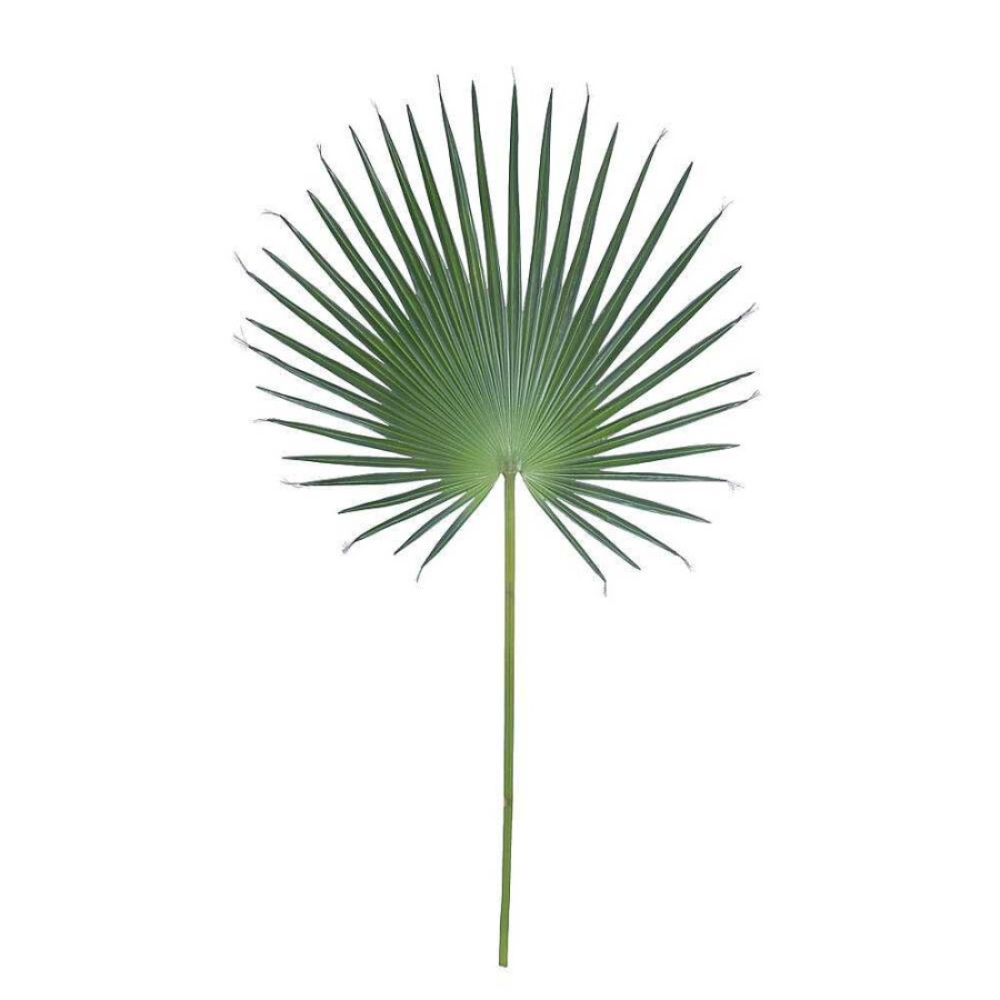 Pomax Fanpalm - Kunstmatig Blad - Kunststof / Metaal - H 121 Cm - Groen | Planten