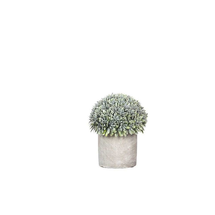 Pomax Concrete Jungle - Artificiele Plant In Pot - Cement / Kunststof - Dia 12 X H 14 Cm | Planten