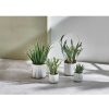 Pomax Marmura - Artificiele Plant / Paars - Kunststof / Cement - Dia 8 X H 16 Cm - Groen | Planten