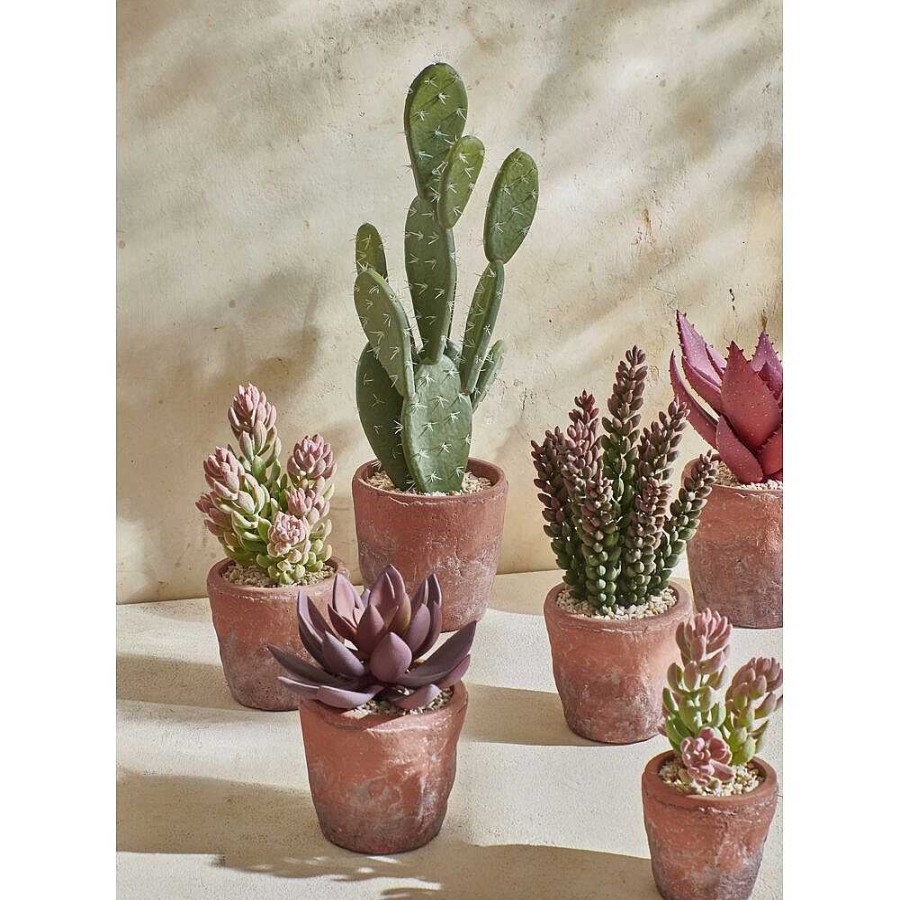 Pomax Terracotta Love - Artificiele Plant In Pot - Kunststof / Terracotta - Dia 12 X H 16,5 Cm - Vijg | Planten