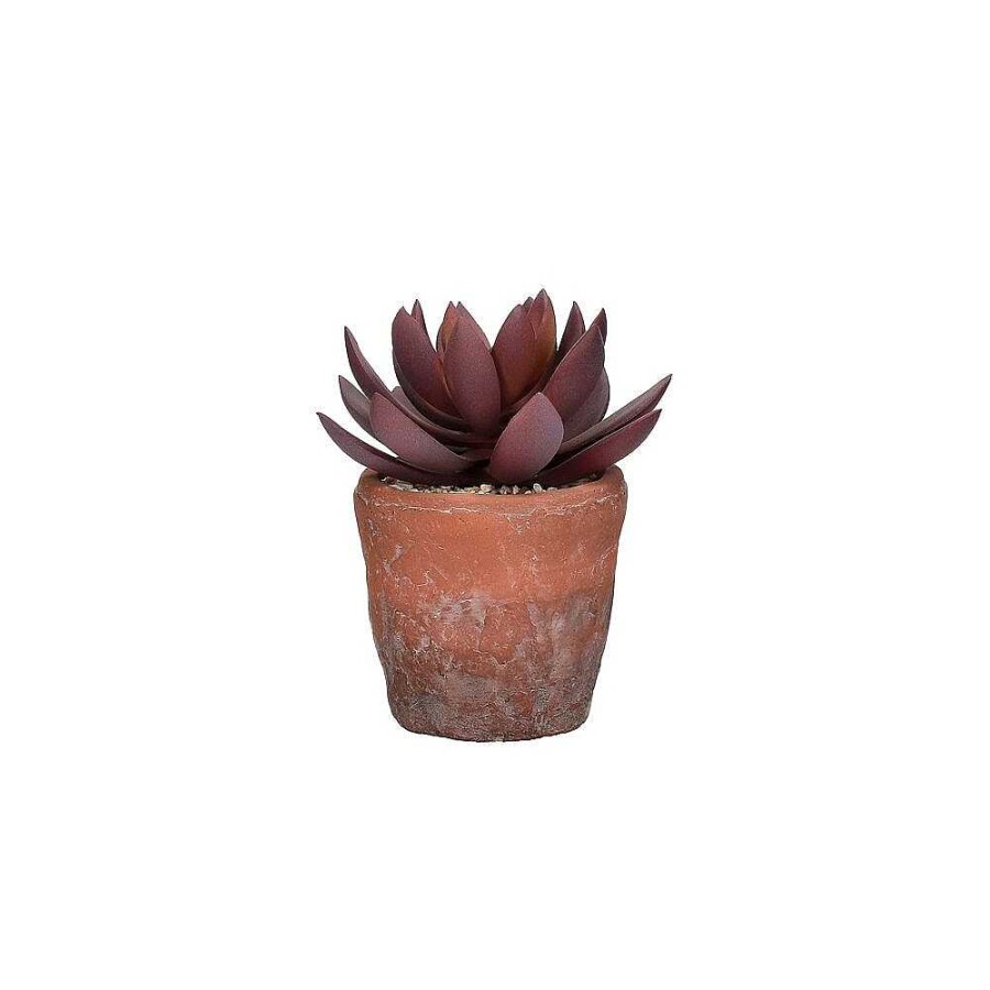 Pomax Terracotta Love - Artificiele Plant In Pot - Kunststof / Terracotta - Dia 12 X H 16,5 Cm - Vijg | Planten