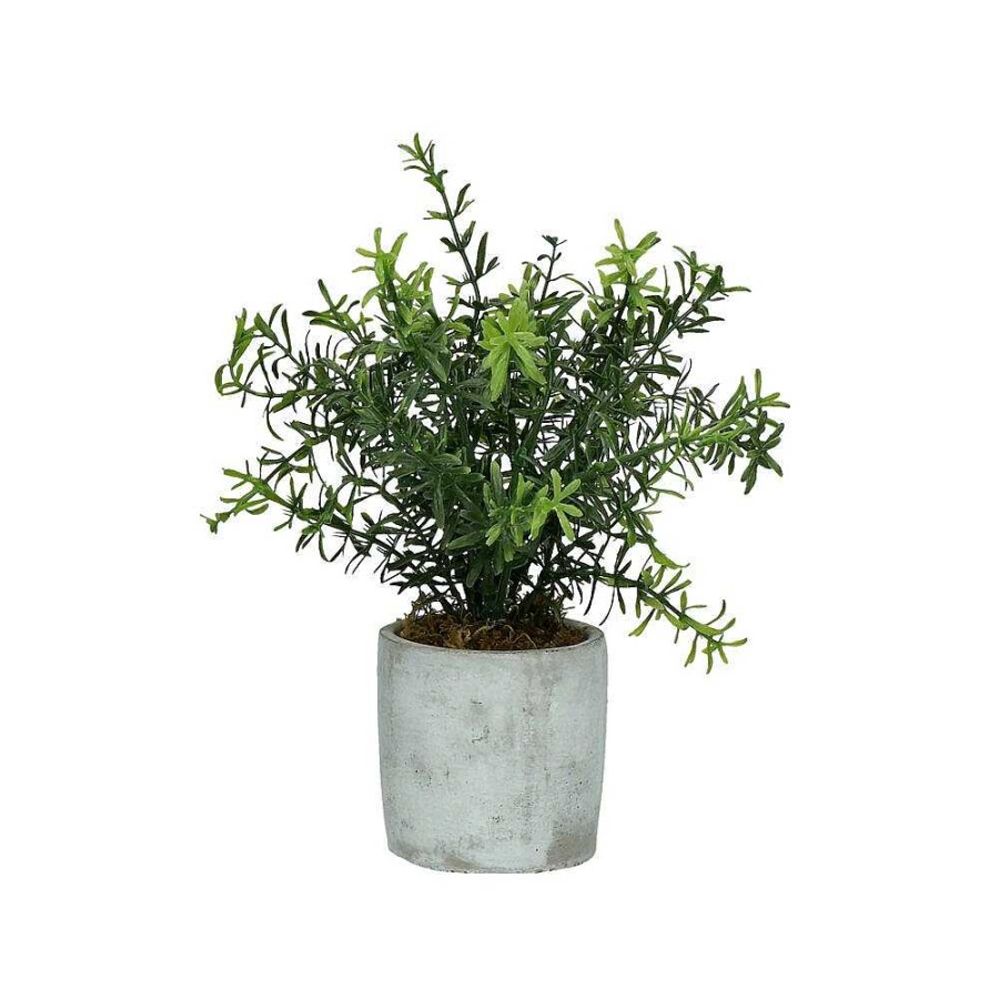 Pomax Concrete Jungle - Artificiele Plant - Kunststof / Cement - Dia 11 X H 23.5 Cm - Groen | Planten