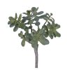 Pomax Succulent - Kunstplant - Kunststof / Metaal - H 46 Cm - Groen | Planten