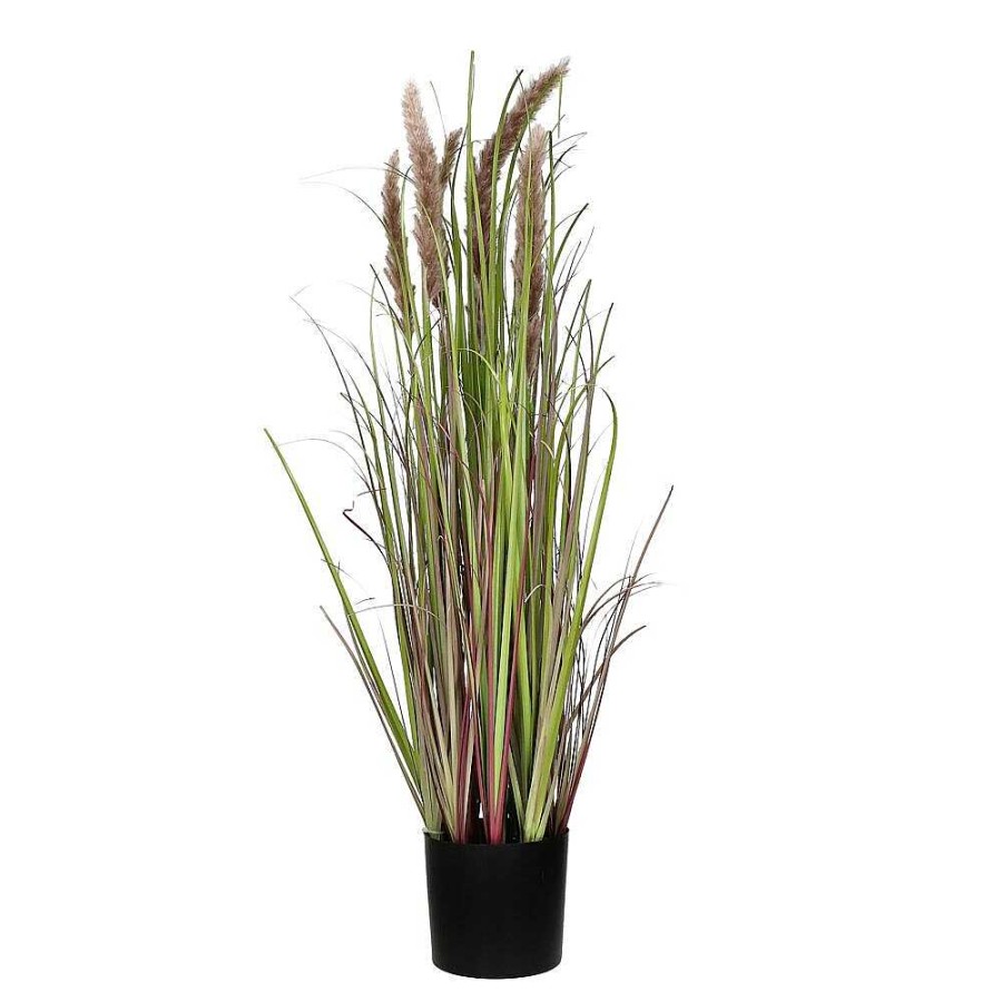 Pomax Grass - Kunstgras - Kunststof - Dia 11 X H 78 Cm - Bruin | Planten