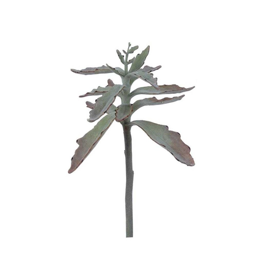 Pomax Succulent - Kunstplant - Kunststof / Metaal - H 38 Cm - Groen | Planten